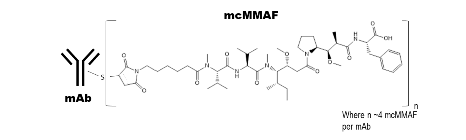 Blenrep说明书-价格-功效与作用-副作用_香港济民药业