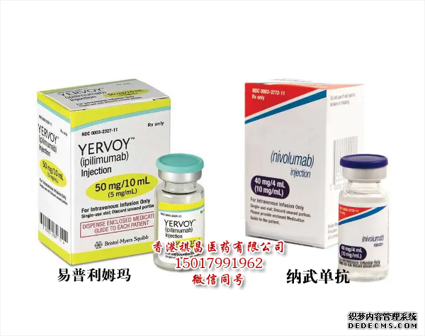 纳武利尤单抗Opdivo(nivolumab) 与 Ipilimumab