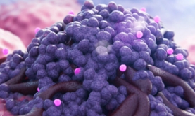 avutometinib